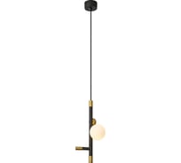 Подвесной светильник FAVOURITE Sparrow 4324-1P