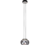 Подвесной светильник FAVOURITE Trendig 4376-1P