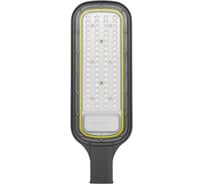 Светодиодный консольный светильник REXANT ДКУ 03-70-5000К-Ш-C, IP65, черный 607-308