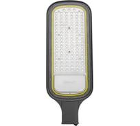 Светодиодный консольный светильник REXANT ДКУ 03-150-5000К-Ш-C, IP65, черный 607-310