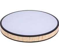 Потолочный светильник REXANT Moso, LUMI Line, 70Вт 650-1074