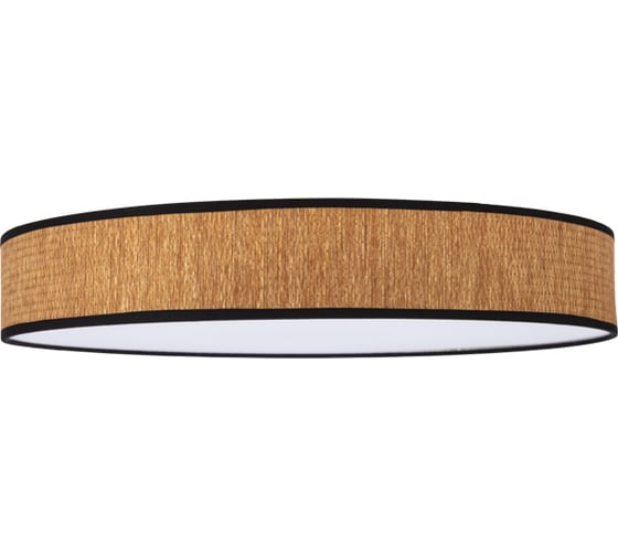 Потолочный светильник REXANT Alata, LUMI Line, 70Вт 650-1077