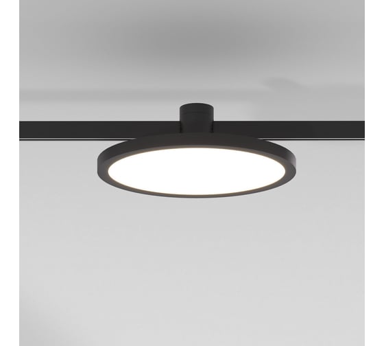 Трековый светильник Elektrostandard Esthetic Magnetic 10W 3000K черный a065426