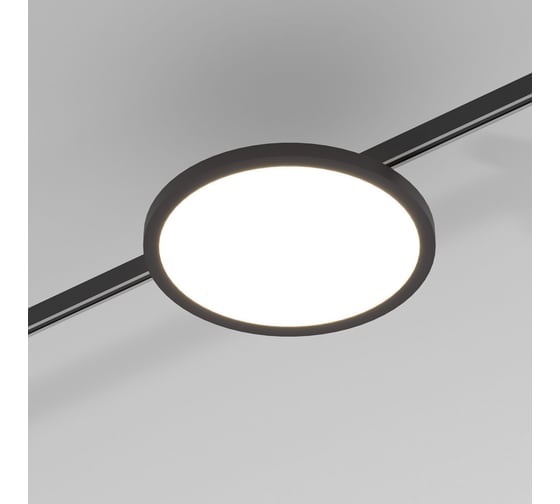 Трековый светильник Elektrostandard Esthetic Magnetic 10W 3000K черный a065426
