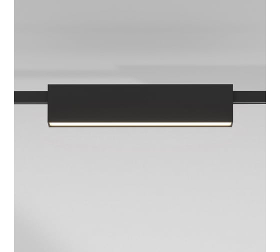 Трековый светильник Elektrostandard Esthetic Magnetic 12W 3000K черный a065424
