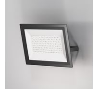 Прожектор MAYTONI Flood FL001-L100B6K