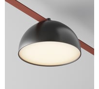 Подвесной светильник MAYTONI Bowl LED 20W, Алюминий, Черный TR126B-20W3K-B