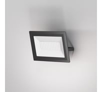 Прожектор MAYTONI Flood FL001-L50B6K