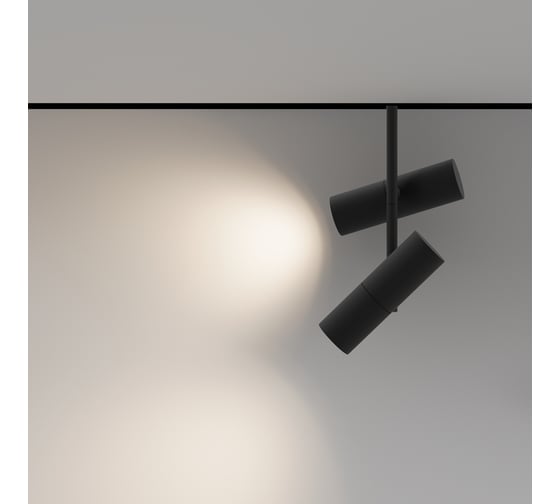 Трековый светильник MAYTONI Elti Duo LED 24W Алюминий Черный TR005-4-2X12W-DS-B