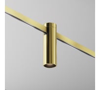 Трековый светильник MAYTONI Focus Led LED 5W Алюминий Латунь TR143-1-5W3K-W-BS