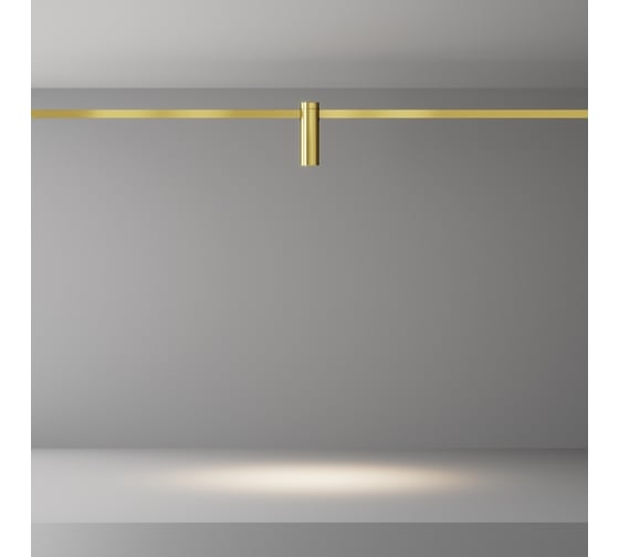 Трековый светильник MAYTONI Focus Led LED 5W Алюминий Латунь TR143-1-5W3K-W-BS