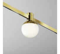 Трековый светильник MAYTONI Luna LED 5W Алюминий Латунь TR149-1-5W3K-BS