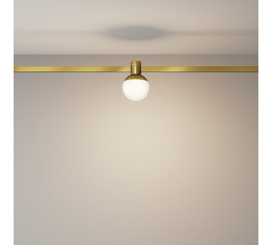Трековый светильник MAYTONI Luna LED 5W Алюминий Латунь TR149-1-5W3K-BS