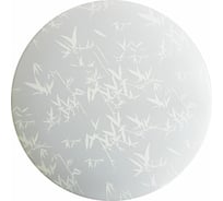 Светильник потолочно-настенный ZARYA LED 18W 6400К, 300мм, ультратонкий круг Бамбук 2-01-18 3293