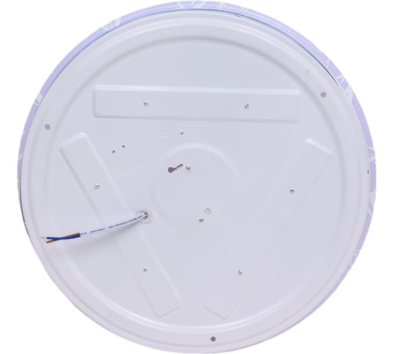 Светильник потолочно-настенный ZARYA LED 24W 6400К, 300мм, ультратонкий круг Бамбук 2-01-24 3294