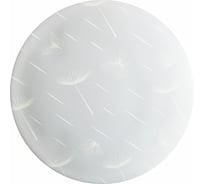 Светильник потолочно-настенный ZARYA LED 45W 6400К, 350мм, ультратонкий круг Бабочка 2-06-45 3596