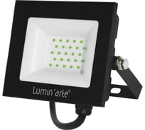 Светодиодный прожектор Lumin'arte 30Вт зеленый свет P65 2400лм серый корпус LFL-30W/07