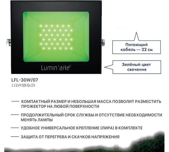 Светодиодный прожектор Lumin'arte 30Вт зеленый свет P65 2400лм серый корпус LFL-30W/07