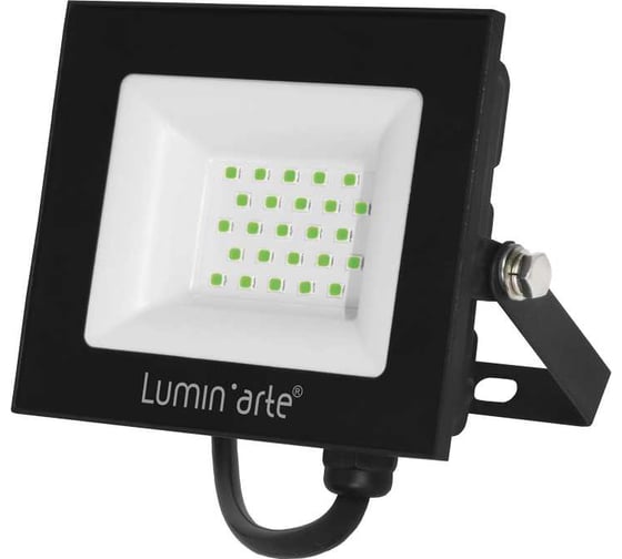 Светодиодный прожектор Lumin'arte 30Вт зеленый свет P65 2400лм серый корпус LFL-30W/07