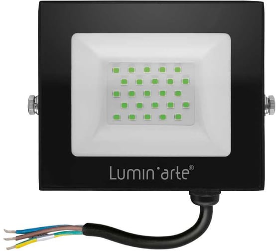 Светодиодный прожектор Lumin'arte 30Вт зеленый свет P65 2400лм серый корпус LFL-30W/07