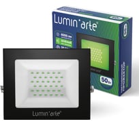 Светодиодный прожектор Lumin'arte 50Вт зелёный свет IP65 4000лм серый корпус LFL-50W/07