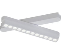 Магнитный трековый светильник ARTE LAMP RAPID SMART A2961PL-1WH