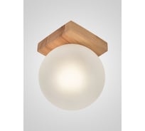 Потолочный светильник Мелодия Света 6426N-1SP NL 000067483