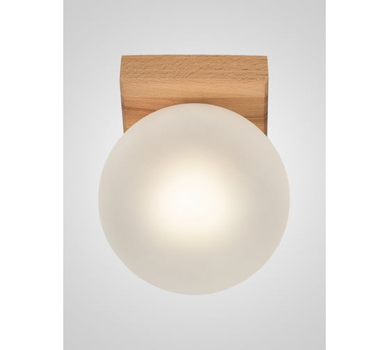 Потолочный светильник Мелодия Света 6426N-1SP NL 000067483