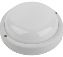 Светильник ЖКХ светодиодный ЭРА SPB203040К024 24Вт 2040Лм 4000К IP65 D320мм КРУГ Б0062728