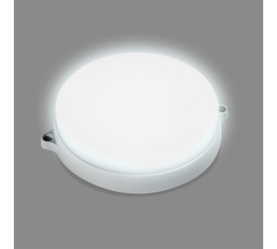 Cветодиодный светильник Smartbuy BT Круг 22Вт с ДД/6500K/IP65 /100 SBL-BTR22-65ms