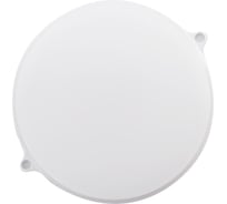 Cветодиодный светильник Smartbuy BT Круг 22Вт/6500K/IP65 SBL-BTR22-65