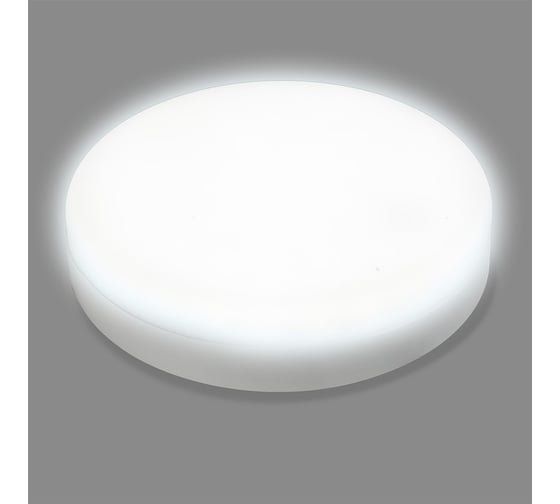 Cветодиодный светильник Smartbuy BT Круг 30Вт с ДД/6500K/IP65 /60 SBL-BTR30-65ms