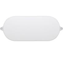 Cветодиодный светильник Smartbuy BT овал 15Вт/6500K/IP65 SBL-BT15-65