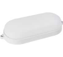 Cветодиодный светильник Smartbuy BT овал 22Вт с ДД/6500K/IP65 /100 SBL-BT22-65ms