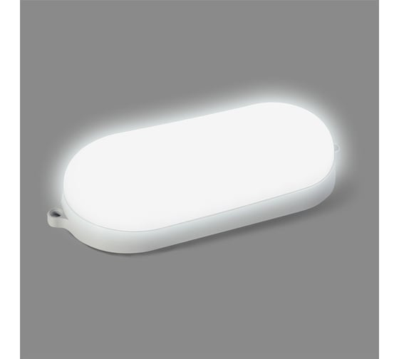 Cветодиодный светильник Smartbuy BT овал 22Вт с ДД/6500K/IP65 /100 SBL-BT22-65ms