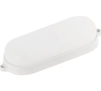 Cветодиодный светильник Smartbuy BT овал 22Вт/6500K/IP65 SBL-BT22-65