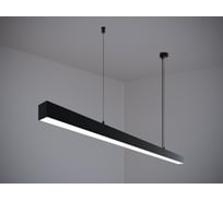 Светильник светодиодный подвесной Modaline P55 (2м, 44Вт, 3000К, черный) MLP55200B23