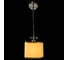 Подвесной светильник Arte Lamp A3990SP-1CC 2