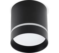 Светильник Smartbuy TS2009 80x85 мм, накладной, 9 Вт, 4000К, черный SBL-TS2009-9W-4K-b