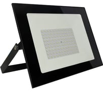 Светодиодный (LED) прожектор Smartbuy FL SMD LIGHT -100W/6500K/IP65 SBL-FLLIGHT-100-65