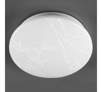 Светильник cветодиодный General Lighting Systems GSMCL-019-12 Reed 190x218x55мм 6500к 780лм 800256