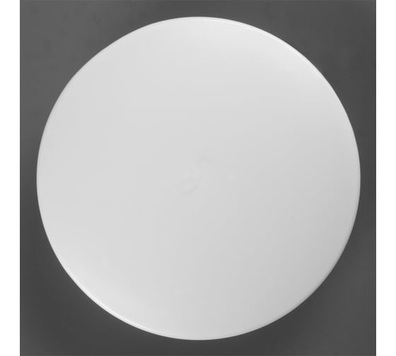 Светильник cветодиодный General Lighting Systems GSMCL-022-24 Bianca-2 300x325x60мм 6500к 1560лм 800267