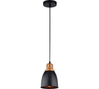 Подвесной светильник Arte Lamp A4248SP-1BK