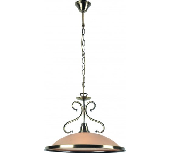 Подвесной светильник Arte Lamp A6905SP-1AB 1