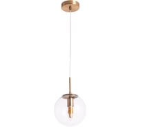 Подвесной светильник Arte Lamp A1920SP-1AB