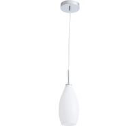 Подвесной светильник Arte Lamp A4282SP-1CC