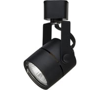 Потолочный светильник Arte Lamp A1310PL-1BK