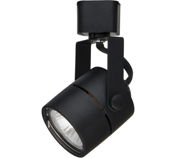 Потолочный светильник Arte Lamp A1310PL-1BK 1