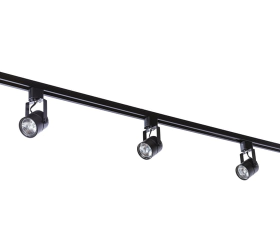 Потолочный светильник Arte Lamp A1310PL-1BK
