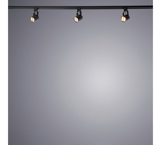 Потолочный светильник Arte Lamp A1310PL-1BK